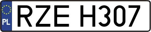 RZEH307