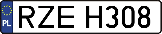 RZEH308