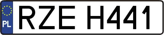 RZEH441