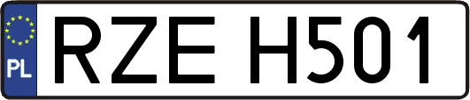 RZEH501