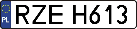 RZEH613
