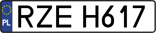 RZEH617