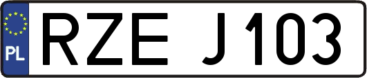 RZEJ103