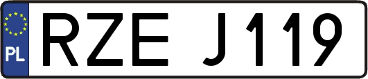 RZEJ119