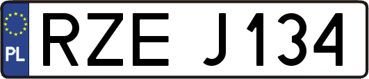 RZEJ134