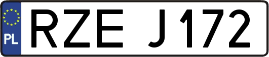 RZEJ172