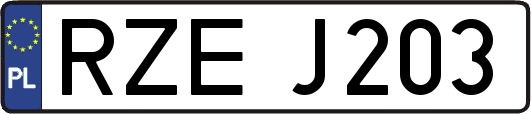 RZEJ203
