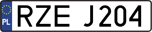 RZEJ204