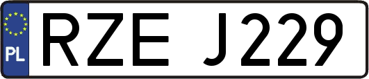 RZEJ229