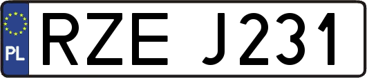 RZEJ231