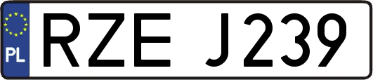 RZEJ239