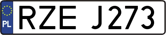 RZEJ273