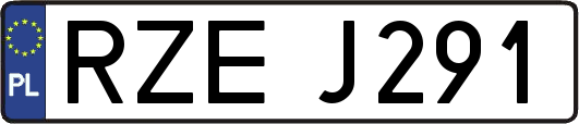 RZEJ291