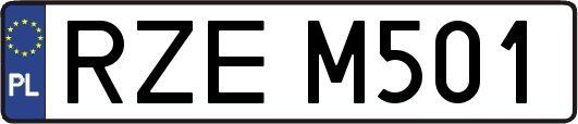 RZEM501