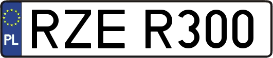 RZER300