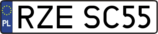 RZESC55