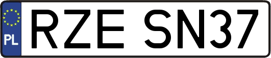 RZESN37