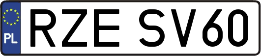 RZESV60