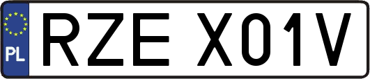 RZEX01V