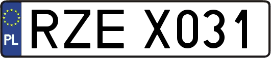 RZEX031
