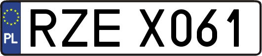 RZEX061