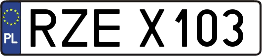 RZEX103