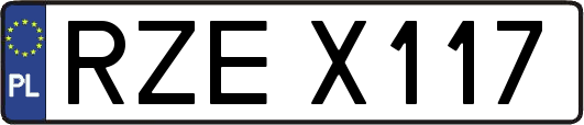 RZEX117