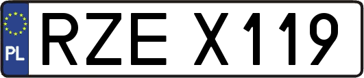 RZEX119