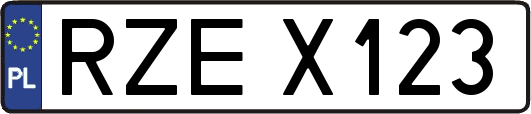 RZEX123