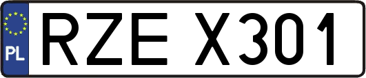 RZEX301