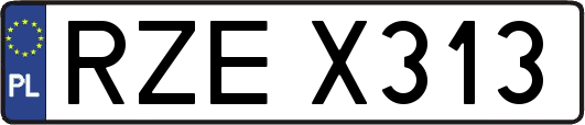 RZEX313