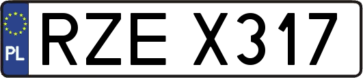 RZEX317