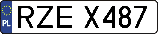 RZEX487