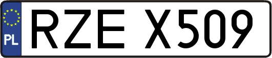 RZEX509