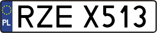 RZEX513