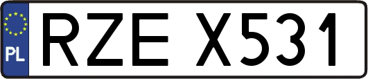 RZEX531
