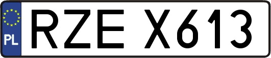 RZEX613