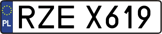 RZEX619