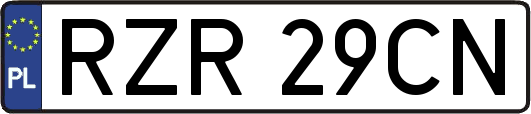 RZR29CN