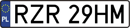 RZR29HM