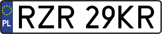 RZR29KR