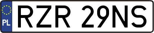 RZR29NS