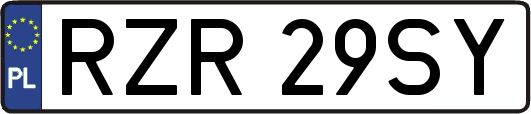 RZR29SY