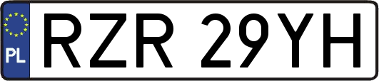 RZR29YH