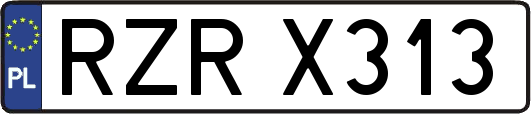 RZRX313