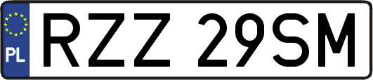RZZ29SM