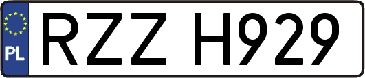 RZZH929
