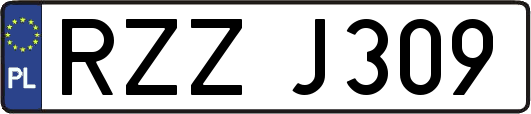 RZZJ309