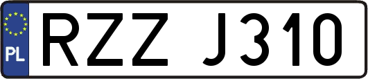 RZZJ310
