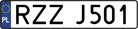 RZZJ501